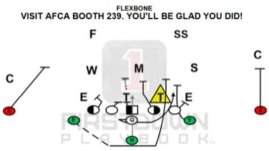 1stDownPlaybookAFCAFlexbone 1stDownPlaybookAFCAFlexbone