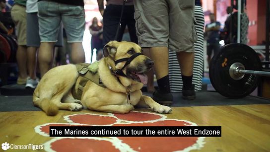 Video of the Day - Clemson does something special for military members