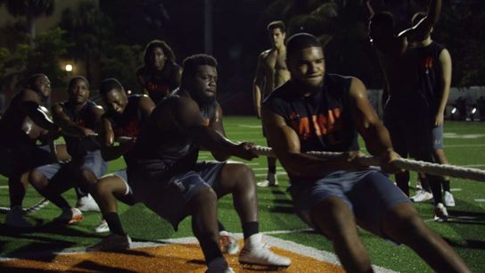 Video of the Day - Miami winter work