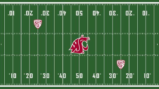 Photo: Washington State may have a cool new field design