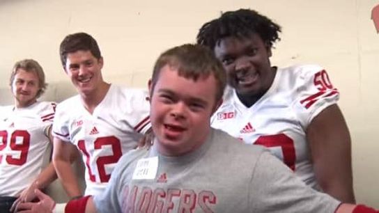 Video of the Day - A day as a Badger