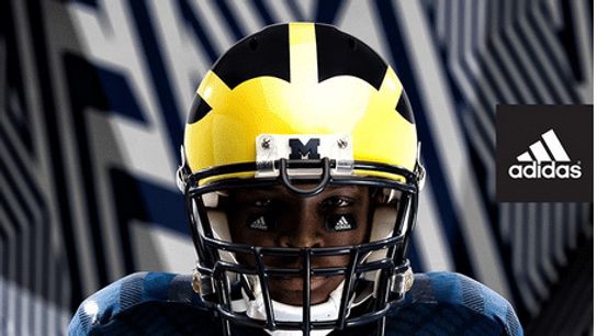 AltMichigan1