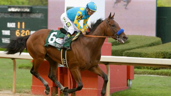 Why American Pharoah could be Notre Dame's good luck charm (Featured)