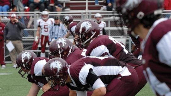 Facing fourth and goal? How about a screen to the LEFT TACKLE?!?! (D-III)