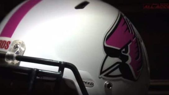 BallStatePink