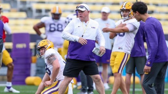 Former LSU special teams coordinator Brian Polian lands new opportunity (Brian Polian)