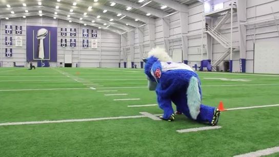 Video of the Day - Colts mascot runs the 40 (Video of the Day)