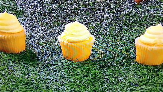 ESPN apologized to Washington for cupcake stunt (jennifer cohen)