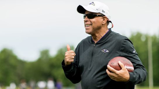Texans fill last remaining NFL head coach opening (Baltimore Ravens)