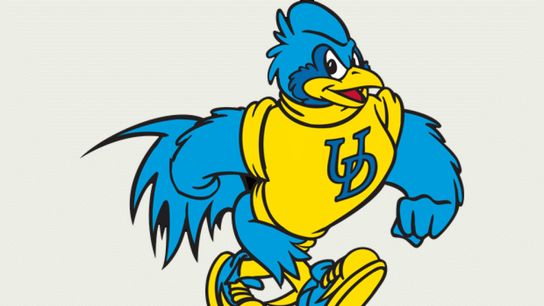 Delaware Blue Hens