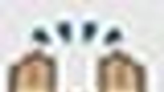EmojiTheU EmojiTheU