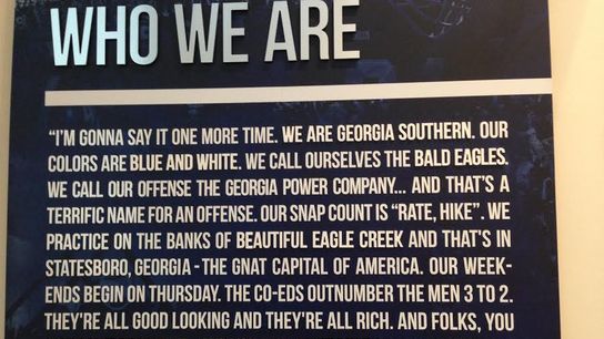GSUWhoWeAre