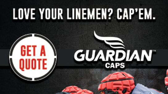 Guardian-300x250 Guardian-300x250