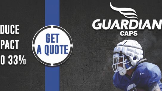 Guardian-Blue