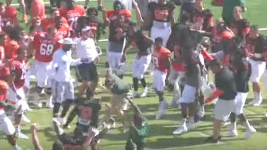 Early candidate for celebration of the year (Miami)