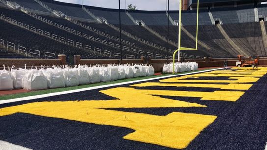 MichiganBigHouseBlueEndZone