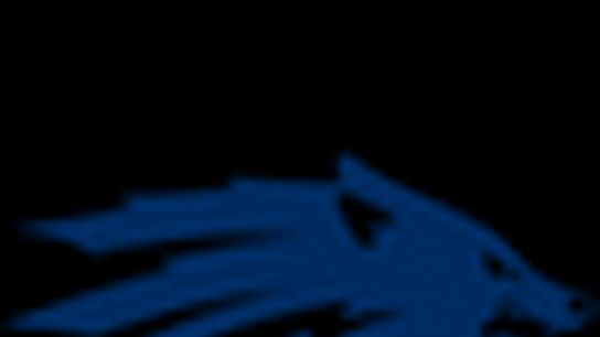 Nevada logo Nevada logo