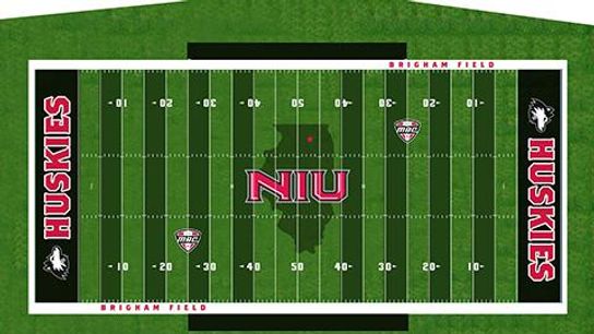 NIU field choice NIU field choice