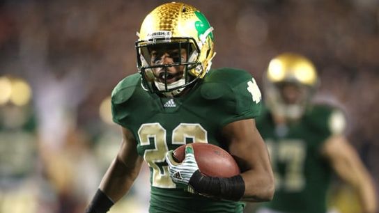 Notre Dame Shamrock 2011