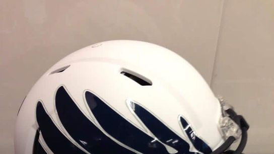 Rice_helmet_2 Rice_helmet_2