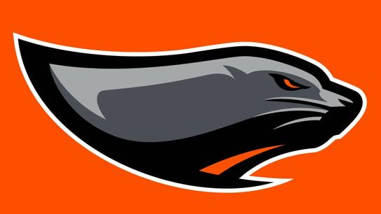 Sources: Spring League Houston franchise finds head coach, OL coach (Larry Kirksey)