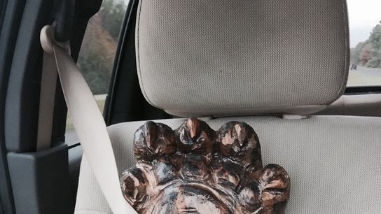 Trophy3