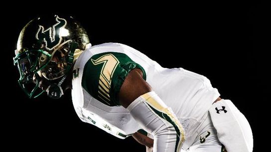 USF11 USF11
