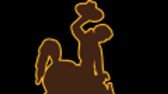 Sources: Wyoming moves quickly to fill offensive line job (Joe Tripodi)