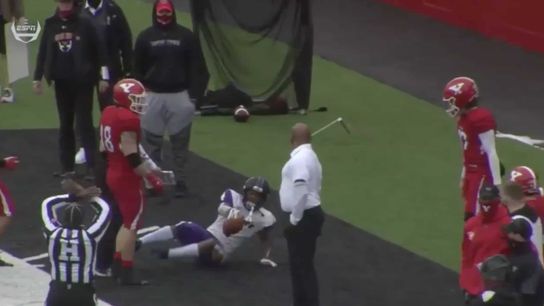 Youngstown State staffer apologizes, banned from sidelines after making contact with opposing player (tim johnson)