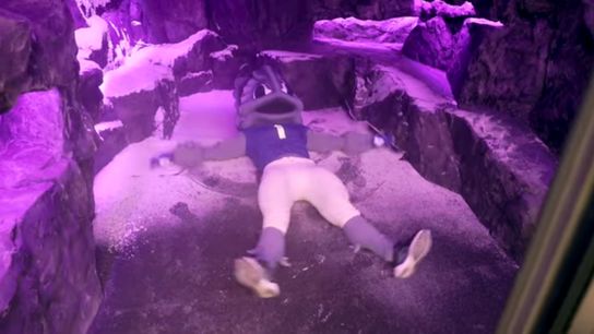 Video: Step inside TCU's impressive $50 million facility, complete with college football's first "snow room" (TCU)